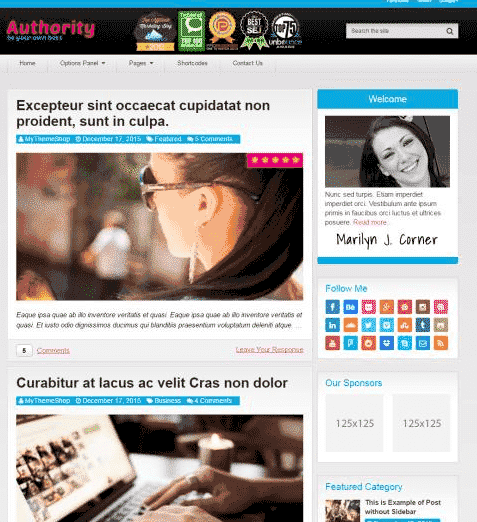 Authority-WordPress-Theme