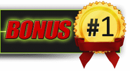 Bonus-1 real