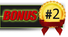 Bonus-2