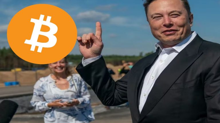 how many bitcoins does elon musk own