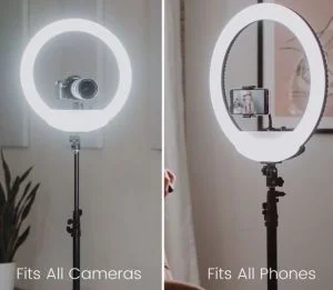 Best leed for TikTok Best leed for TikTok