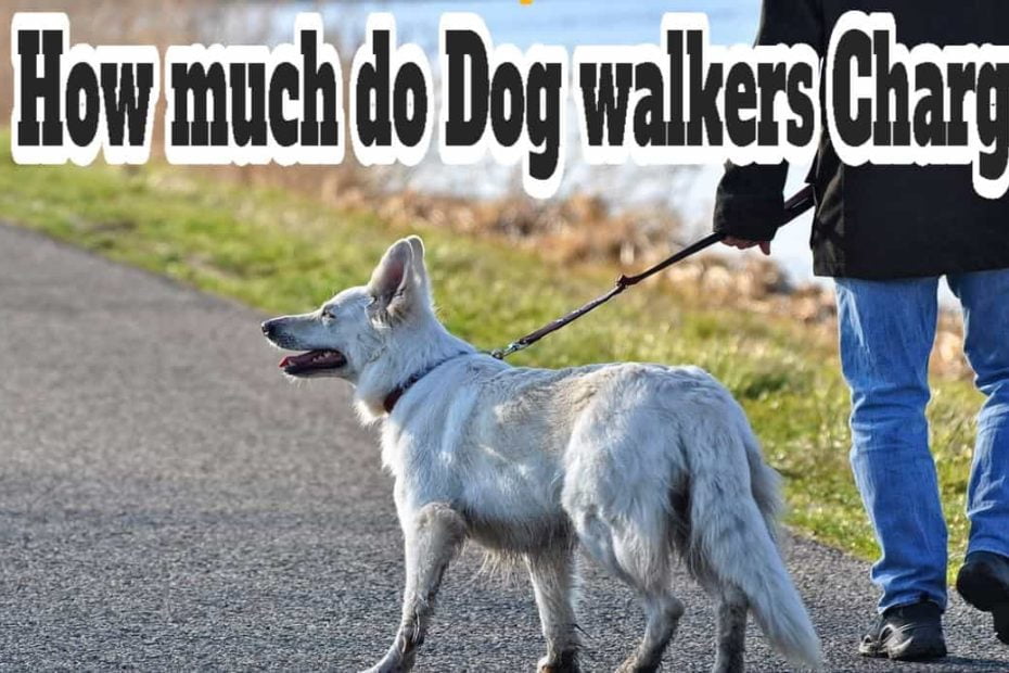 How much do Dog walkers Charge in Greenwich CT